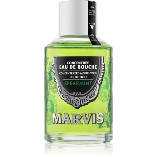 Concentrated Mouthwash collutorio concentrato per un alito fresco Spearmint 120 ml - Marvis - Modalova