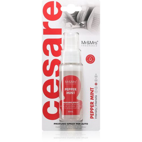 Cesare Peppermint deodorante per automobili 50 ml - Mr & Mrs Fragrance - Modalova