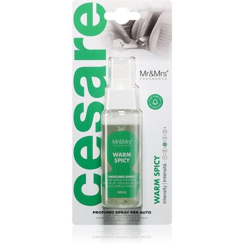 Cesare Warm Spicy deodorante per automobili 50 ml - Mr & Mrs Fragrance - Modalova