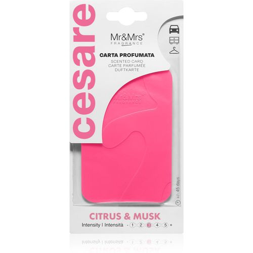 Cesare Citrus & Musk tarjeta perfumada para puertas 1 ud - Mr & Mrs Fragrance - Modalova