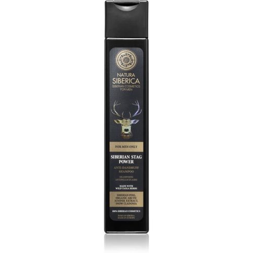 For Men Only champú anticaspa 250 ml - Natura Siberica - Modalova