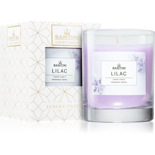 Lilac candela profumata 200 g - SANTINI Cosmetic - Modalova