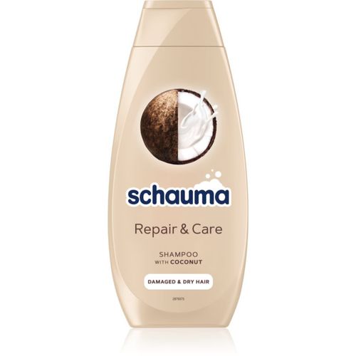 Schauma Repair & Care Shampoo für trockenes und beschädigtes Haar mit Kokos 400 ml - Schwarzkopf - Modalova