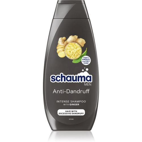 Schauma MEN Shampoo gegen Schuppen mit Ingwer für Herren 400 ml - Schwarzkopf - Modalova