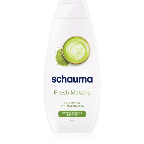 Schauma Fresh Matcha shampoo detergente detossinante per cuoi capelluti grassi e punte secche 400 ml - Schwarzkopf - Modalova