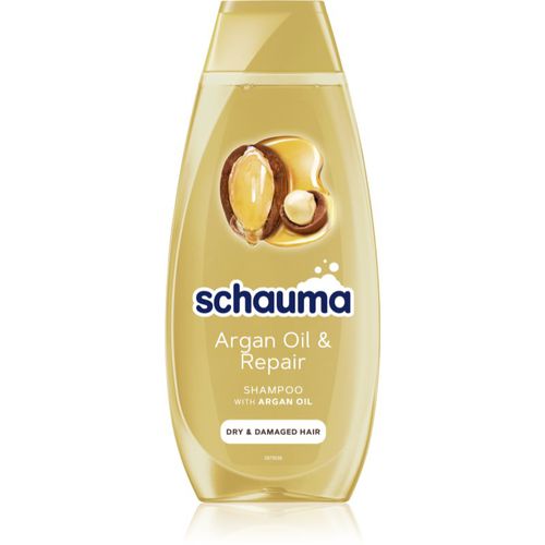 Schauma Argan Oil & Repair erneuerndes Shampoo für trockenes und beschädigtes Haar 400 ml - Schwarzkopf - Modalova