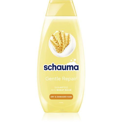 Schauma Gentle Repair champú nutritivo suave para cabello seco y dañado 400 ml - Schwarzkopf - Modalova