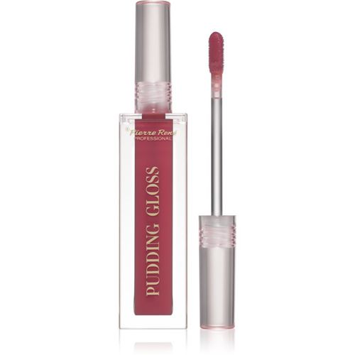 Professional Pudding Lip Gloss lucidalabbra idratante colore 04 Gloss Up Girl 5 ml - Pierre René - Modalova