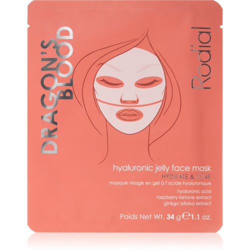 Dragon's Blood Hyaluronic Jelly Face Mask intensive Hydrogel-Maske mit Hyaluronsäure 34 g - Rodial - Modalova