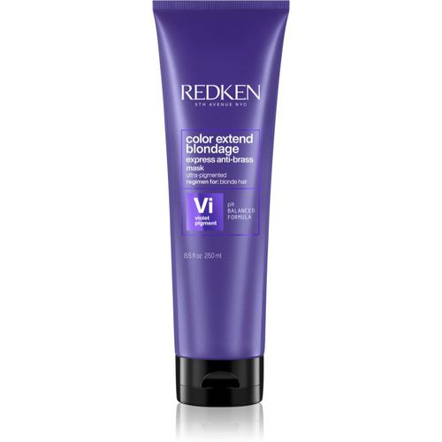 Color Extend Blondage maschera neutralizzante per toni gialli 250 ml - Redken - Modalova