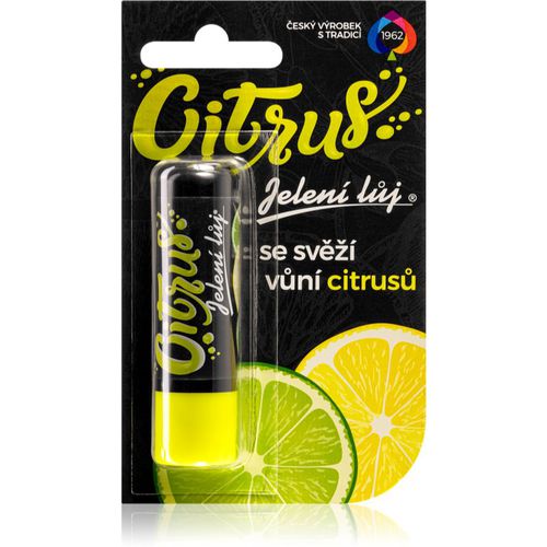 Citrus bálsamo labial cítrico 4.5 g - Regina - Modalova