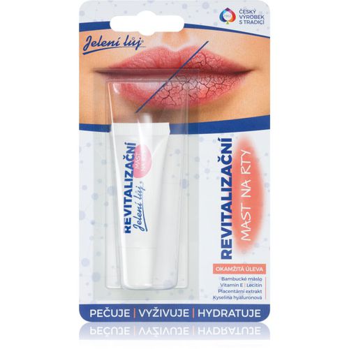 Revitalizační mast na rty bálsamo labial para pieles secas y agrietadas 10 ml - Regina - Modalova