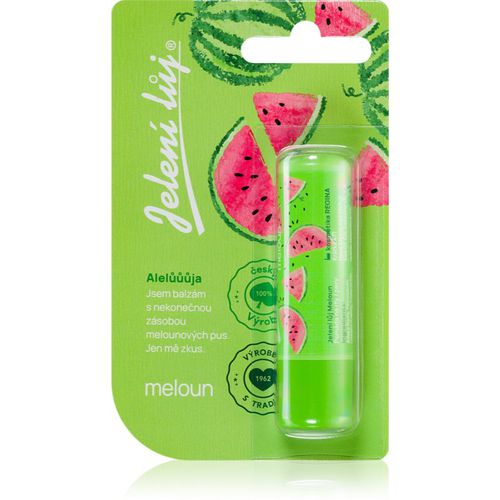 Juicy Summer Watermelon Lippensalbe 4,5 g - Regina - Modalova