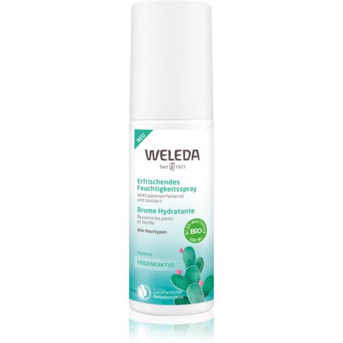 Feigenkaktus Gesichtsspray mit feuchtigkeitsspendender Wirkung 100 ml - Weleda - Modalova