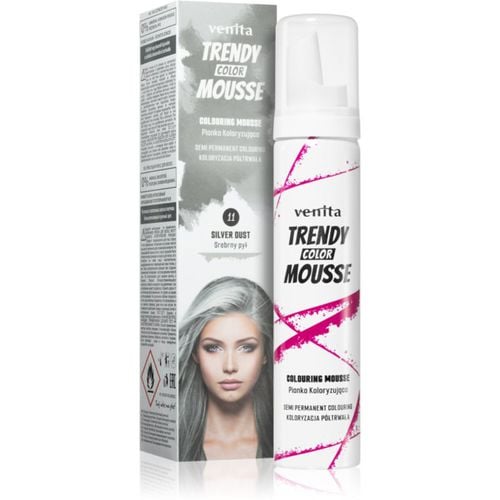 Trendy Color Mousse schiuma colorante senza ammoniaca colore No. 11 - Silver Dust 75 ml - Venita - Modalova