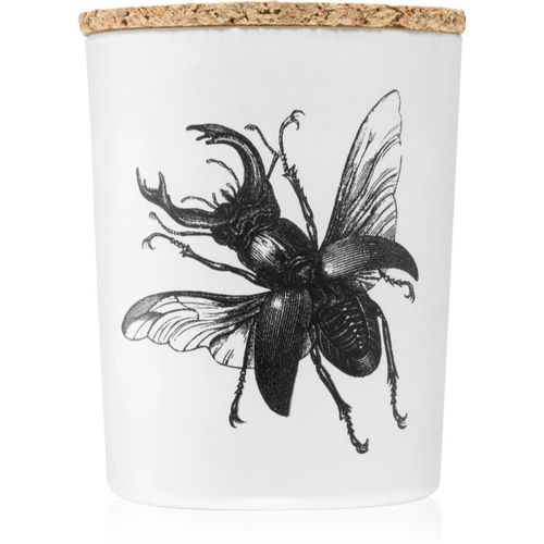 Insect Lucanus Cervus vela perfumada 75 g - Vila Hermanos - Modalova