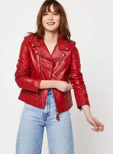 Vêtements Perfecto Lcw 1601D W pour Accessoires - Schott - Modalova