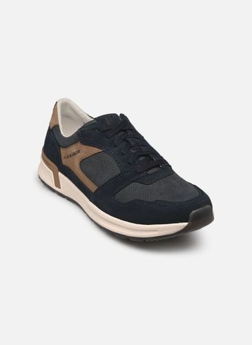 Baskets Pius Gabor Mire pour Homme - Pius Gabor - Modalova