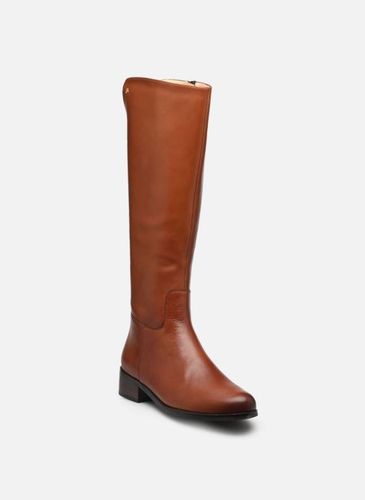Bottes 75519-45 pour - Peter Kaiser - Modalova