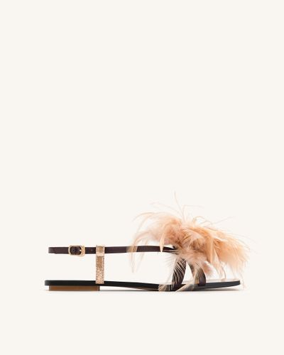 Sandali Fluffy Flats - Marrone - JW PEI - Modalova