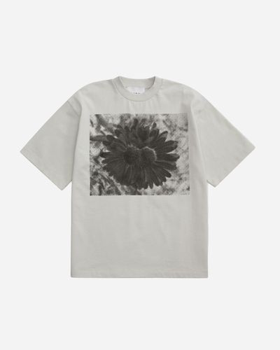 Daisy Tee S - Night smoke - PHANTA - Modalova