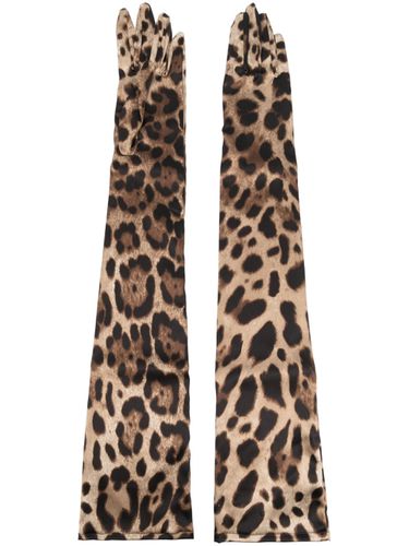 Leopard Print Silk Gloves - Dolce & Gabbana - Modalova