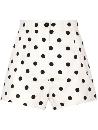 Dots Print Cotton Shorts - Dolce & Gabbana - Modalova