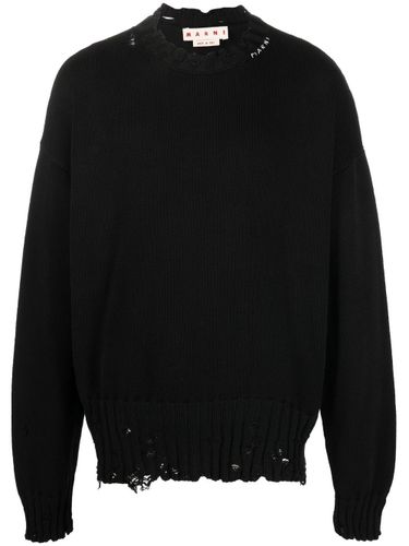 MARNI - Cotton Knitted Sweater - Marni - Modalova