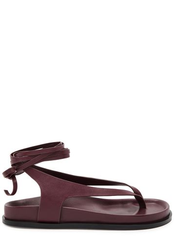 A. emery Shel Lace-up Leather Thong Sandals - - 36 (IT36/ UK3) - A.emery - Modalova