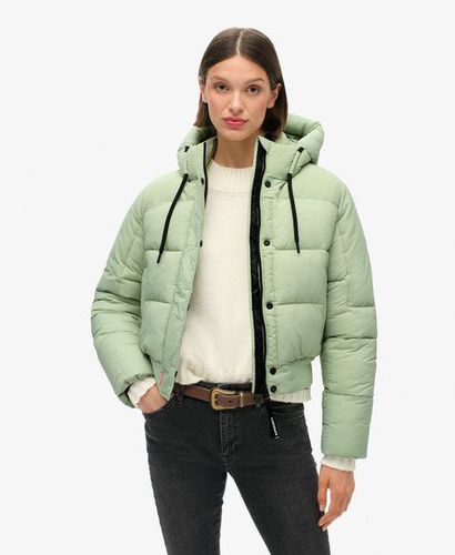 Women's Ripstop Padded Bomber Jacket Green / Sea Green Grid - Size: 10 - Superdry - Modalova