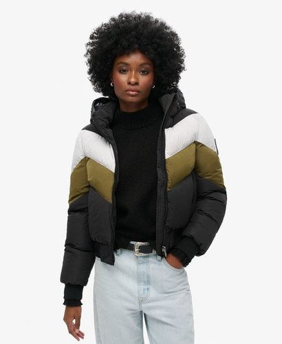 Damen Everest Retro Bomberjacke - Größe: 40 - Superdry - Modalova