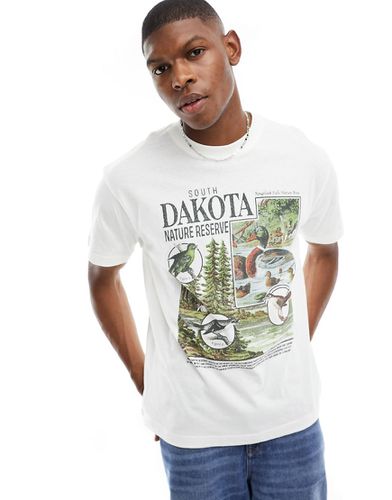 Cotton On - T-shirt ampia vintage con grafica "Dakota" - Cotton:On - Modalova
