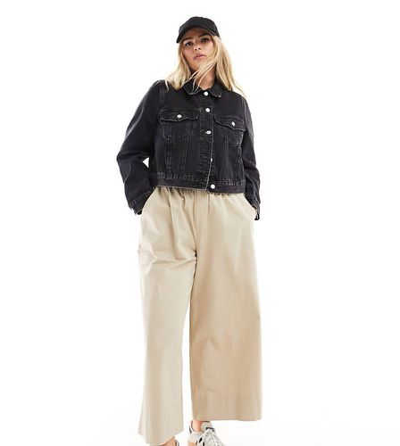 ASOS DESIGN Curve - Pantaloni culotte color pietra - ASOS Curve - Modalova