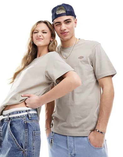 Mapleton - T-shirt a maniche corte color sabbia - In esclusiva per ASOS - Dickies - Modalova
