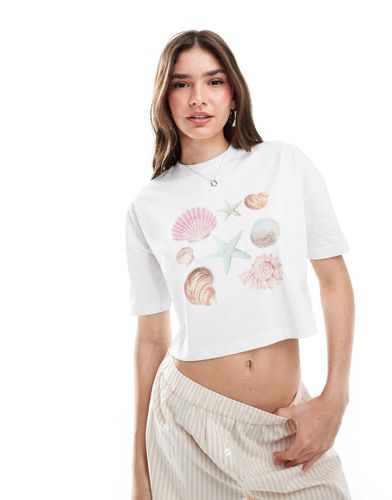 T-Shirt corta con grafica di conchiglie - Miss Selfridge - Modalova