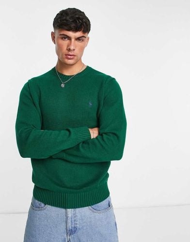 Maglione in maglia di cotone pesante scuro con logo - Polo Ralph Lauren - Modalova