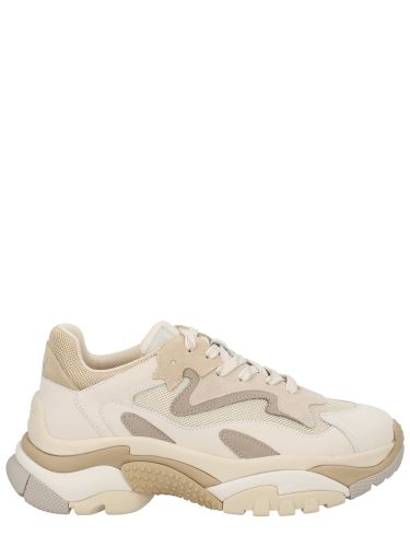Ash sneaker "addict" - ash - Modalova