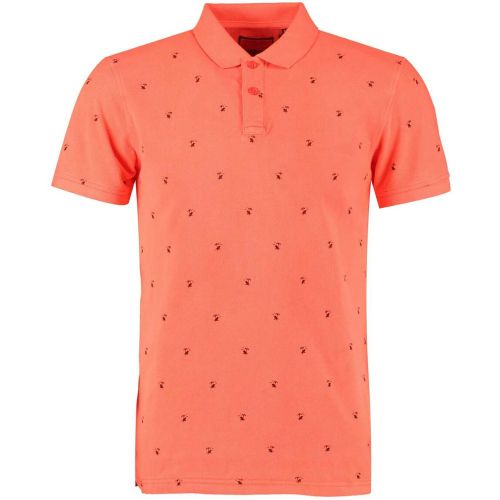 Polo imprimé en coton - Petrol - Modalova