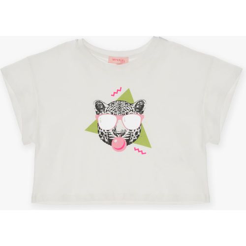 T-shirt bambina in puro cotone monocolour con stampa - Imperial - Modalova