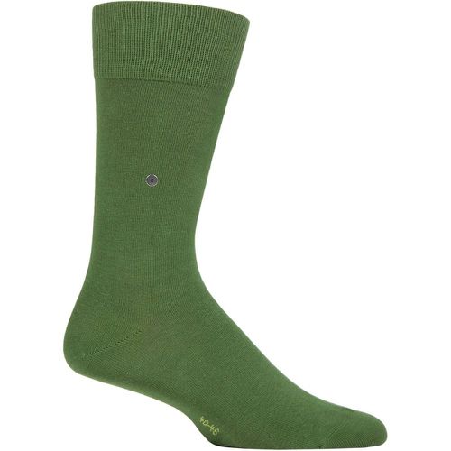 Mens 1 Pair Lord Plain Cotton Socks Mid 6.5-11 Mens - Burlington - Modalova