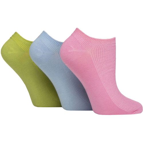 Women's 3 Pair Patterned, Striped, Plain, Ribbed and Mesh Bamboo Trainer Socks Ocean View Ribbed 4-8 - SockShop - Modalova