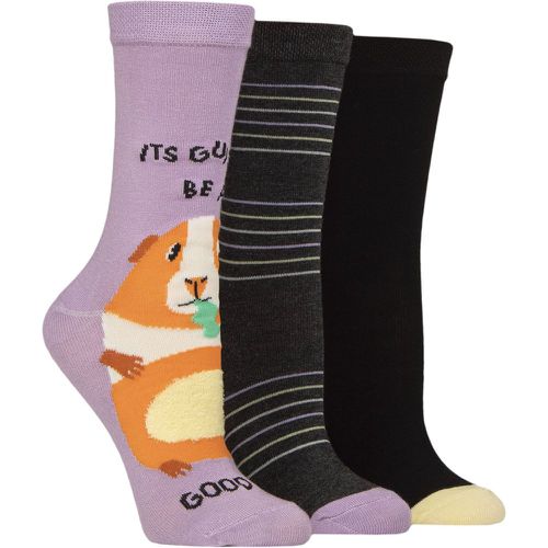 Women's 3 Pair SOCKSHOP Novelty Bamboo Socks Guinea Be A Good Day 4-8 - Lazy Panda - Modalova