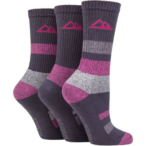 Ladies 3 Pair Cotton Striped Boot Socks Charcoal / Cerise 4-8 Ladies - Storm Bloc - Modalova