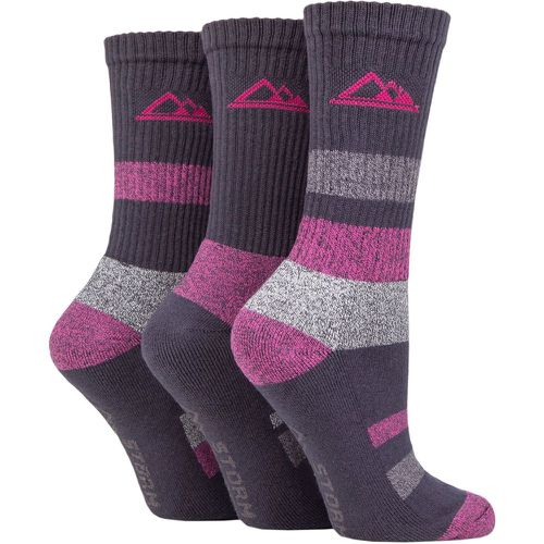 Women's 3 Pair Cotton Striped Boot Socks Charcoal / Cerise 4-8 Ladies - Storm Bloc - Modalova