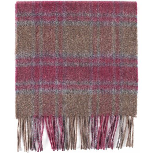 Pack Brown / and Made In Scotland Check 100% Cashmere Scarf Unisex One Size - Great & British Knitwear - Modalova