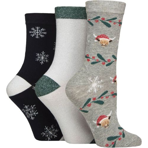 Women's 3 Pair Wildfeet Cotton Christmas Gift Socks Highland Cow 4-8 - SockShop - Modalova