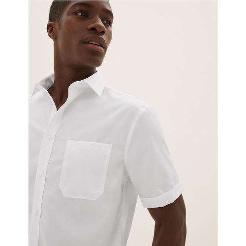 Regular Fit Pure Cotton Striped Shirt - Marks & Spencer - Modalova