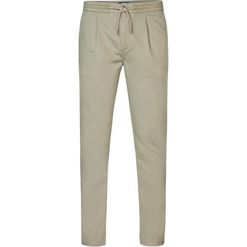 Cotton Chinos - PETROL INDUSTRIES - Modalova