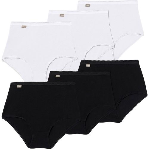 Pack of 6 Maxi Knickers in Cotton - Playtex - Modalova