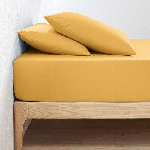 Scenario Plain 100% Organic Cotton Percale 200 Thread Count Fitted Sheet - LA REDOUTE INTERIEURS - Modalova